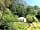 The Teasel Yurts: Surrounded by greenery (photo added by manager on 11/01/2021)