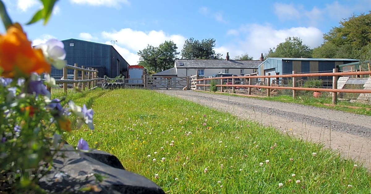 Mount Pleasant Farm, Beaworthy Updated 2021 prices Pitchup®