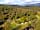 Cobleland Campsite: Aerial view of the site and scenery (photo added by manager on 07/01/2023)