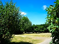 Camping field Camping field