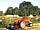 Walnut Tree Meadow Camping: Vintage tractor on the farm (photo added by manager on 02/12/2020)