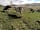 Castle How Wild Camping (фото добавлено менеджером 14.08.2023)