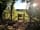 Chettle Campsite