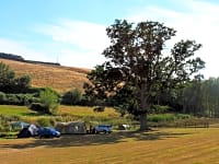 Parcel·la de gespa sense electricitat per a tenda de campanya o per a remolc tenda