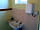 Penn Farm Campsite: Indoor bathroom facilities