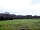 Wellowwood Camping: View of the site (photo added by manager on 16/03/2023)