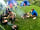 Westland Farm: Campfires and barbecues