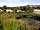 Rivendale Caravan and Leisure Park: The pods on the main park near the environmental pond