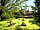 Benville Manor Camping: Yoga in the secret garden (photo added by manager on 31/07/2022)
