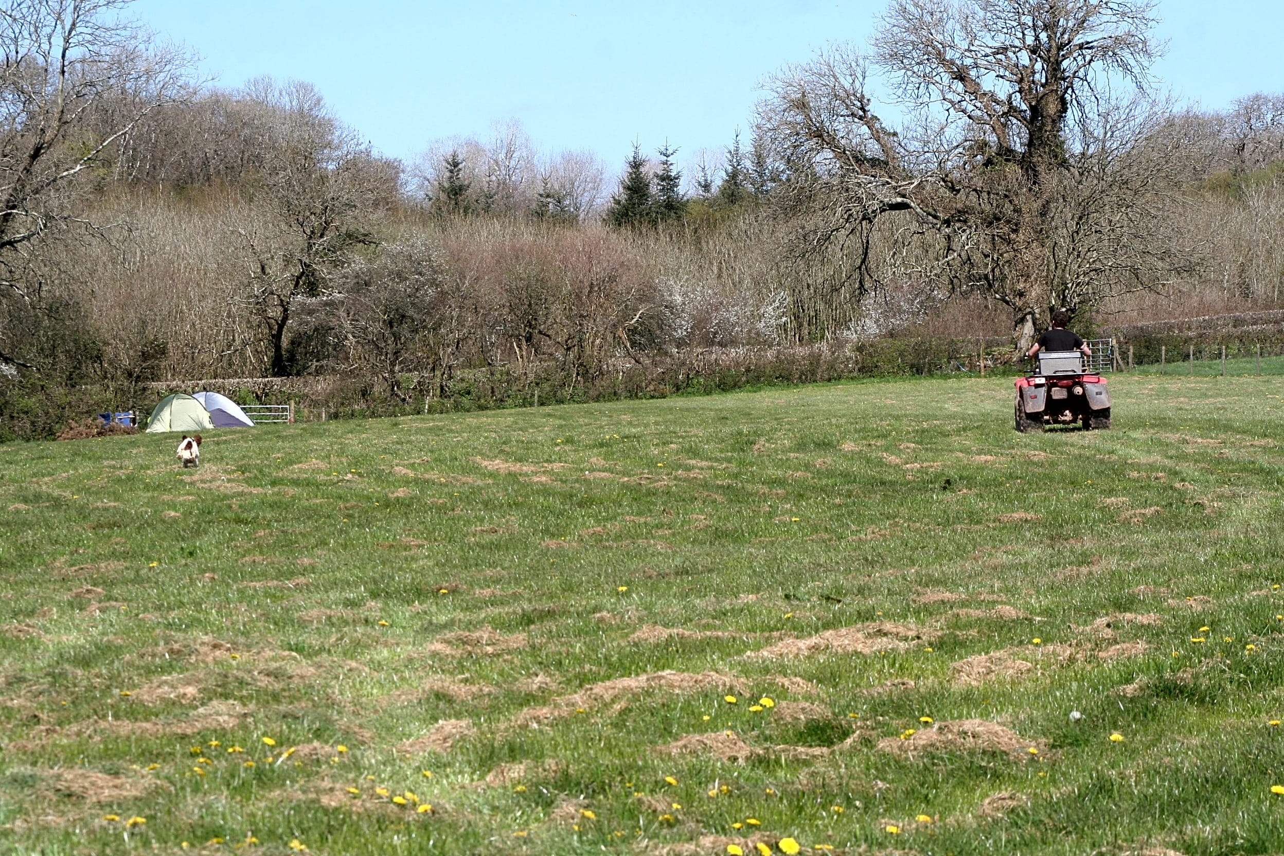 Dews Lake Farm, Pembroke Updated 2020 prices Pitchup®