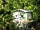 Bluebell Retreat Glamping: Peeking through the woodland