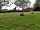 Park Hall Farm