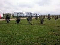 Grass campervan pitches Grass campervan pitches