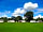 Constable Burton Hall Caravan Park: Well-spaced and maintained pitches