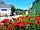 Porthtowan Tourist Park: Towards main entrance