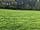Monkhopton Meadow Camping: Grass pitches (photo added by manager on 19/07/2023)