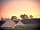 Misty Meadows: Sunset over the bell tents (photo added by manager on 15/07/2021)