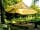 The Secret Garden Touring Park: Bushcraft area