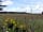 Jacksmere Camping