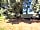 Creative Camping: Shaded corner (photo added by manager on 09/05/2022)