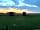 Cote Hill Farm Stay (фото добавлено менеджером 04.08.2023)