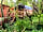 Morelands Copse Camping: The Pig Hut