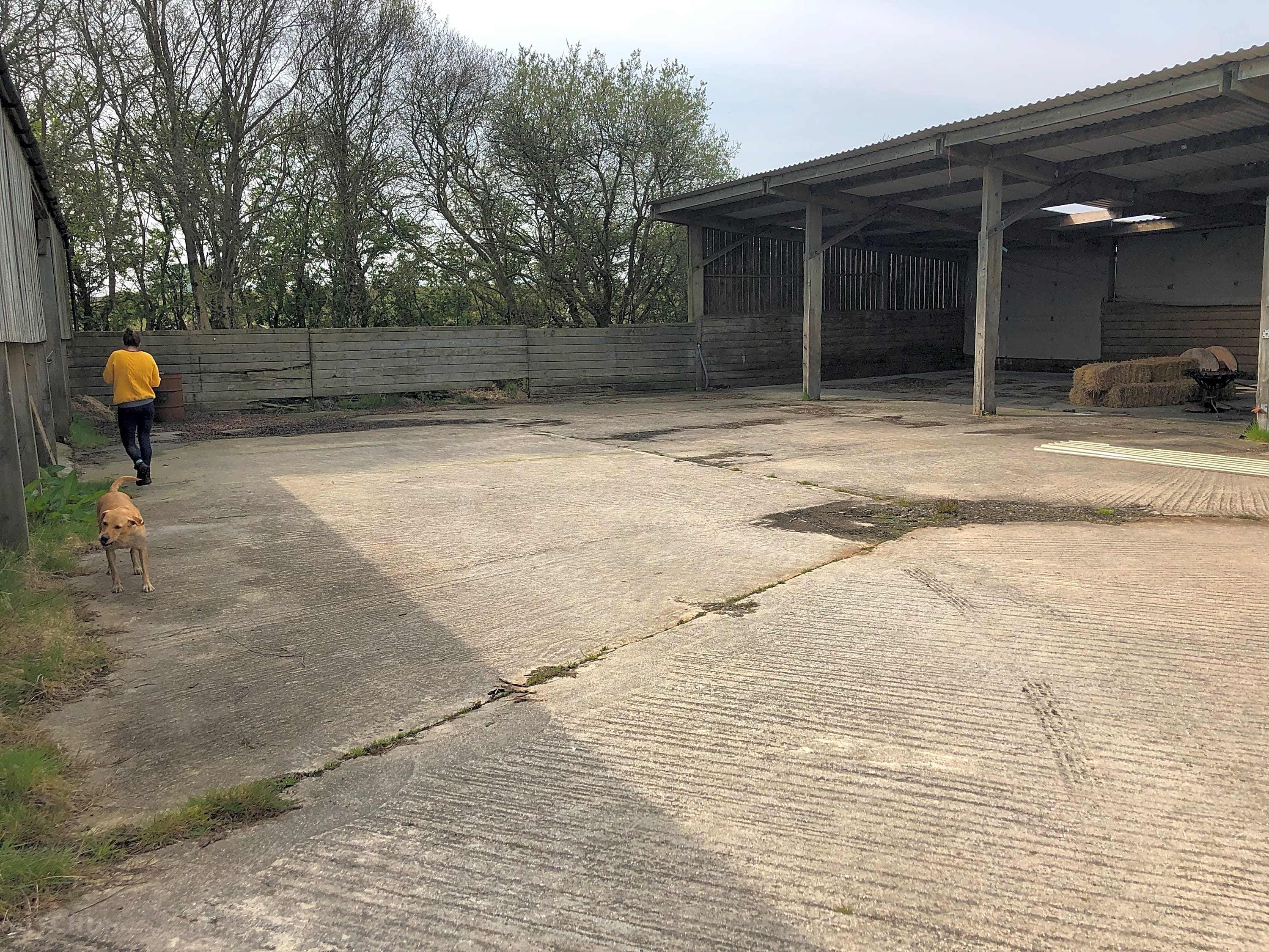 Knoll Farm Campsite, Wareham Updated 2020 prices Pitchup®