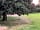 Barton View: Swing in the trees
