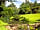 Lower Coombe Royal Glamping: Pond