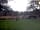 Camping in Frankland: The garden and play area