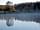 Church Stretton Camp and Fish (Oaklands)