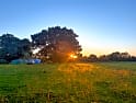 Aldeburgh campsites