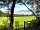 Woodlands Camping: View back to the meadow