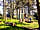 Minton Hill Pods: Pod site (photo added by manager on 25/04/2022)