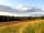 Stancombe Ash Farm: This is the campsite field out of season. Its surrounded by fields and woodland, accessible by road