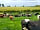 Brooklyn Grange Farm