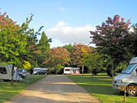 Spacious pitches separated by trees Spacious pitches separated by trees