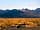 The High Desert Ranch: Elk and mountains