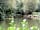 Wassell Grove Camping and Caravanning: Looking over the match pool