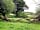 Widecombe Valley - Dartmoor Camping: Plenty of trees to climb