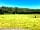 Old Pasture Park: Grass pitches