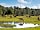 Wellowwood Camping: Horses in the New Forest (photo added by manager on 10/03/2023)