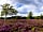 Green Pastures Farm: Gorgeous New Forest walks (photo added by manager on 07/10/2022)