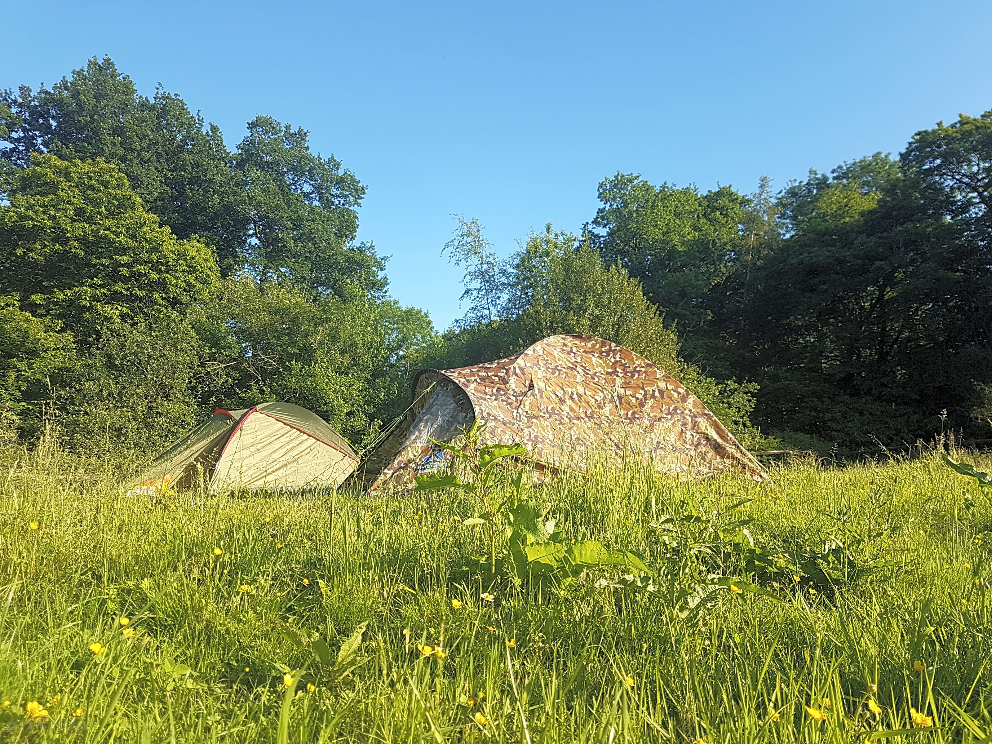Evergreen Farm Woodland Campsite, East Grinstead - Updated 2020 prices