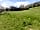 Croquet Lawn Camping at Court Farm: Pitches on the croquet lawn