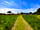 Sychpwll Centre: Driving tracks through the fields (photo added by manager on 01/06/2021)