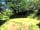 Yomer Wood Camping: Large pitch overlooking the pond