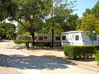 Large pitches under the shade of trees Large pitches under the shade of trees