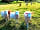 Wallis Farm: The lambs are all really friendly and love a stroke (photo added by manager on 16/09/2023)