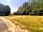 Church Meadow Campsite: Non-electric grass and hardstanding pitches (photo added by manager on 11/06/2023)